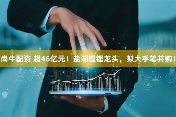 尚牛配资 超46亿元！盐湖提锂龙头，拟大手笔并购！