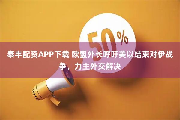 泰丰配资APP下载 欧盟外长呼吁美以结束对伊战争，力主外交解决